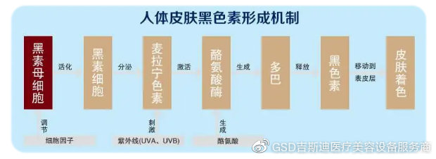 醫療美容設備